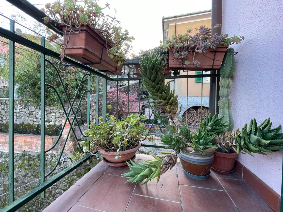 Tra Alpi Apuane E Cinque Terre.. Casetta Renata! Villa Valeriano Lunense Eksteriør bilde